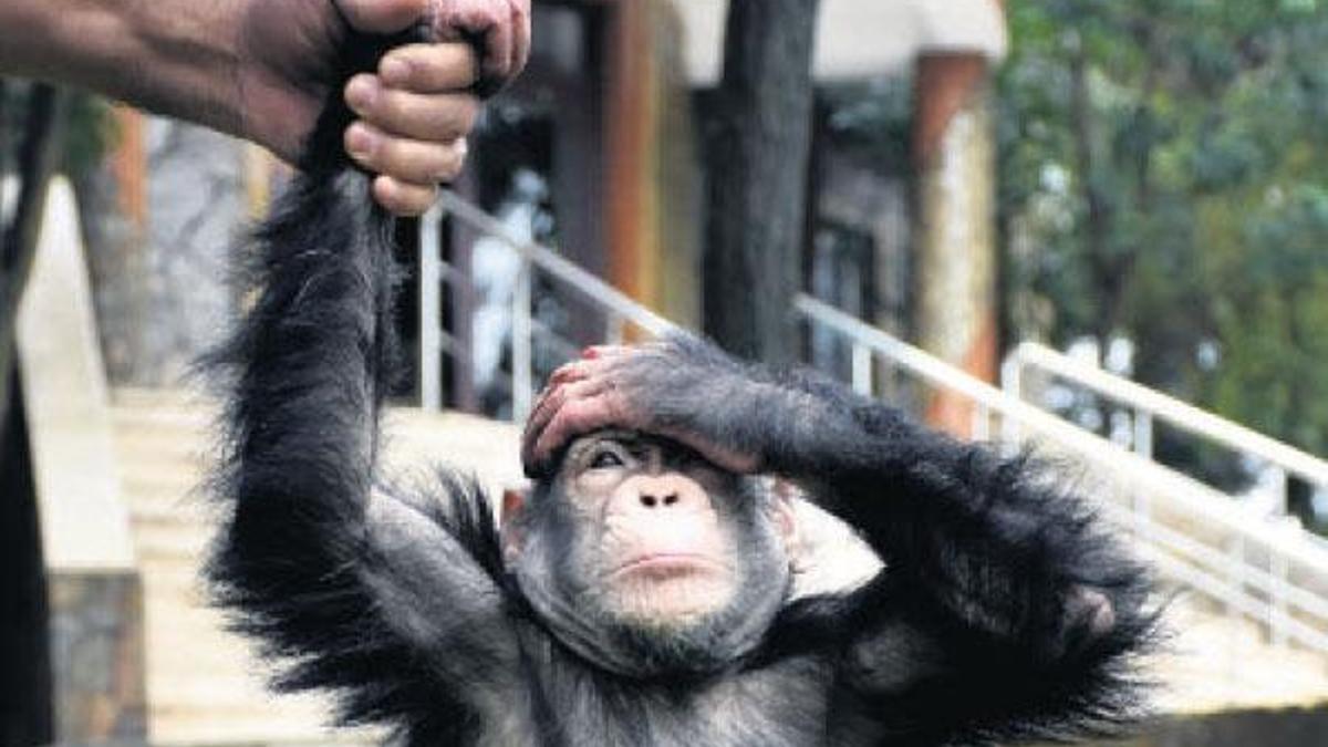 Özel terapi uygulanıyor