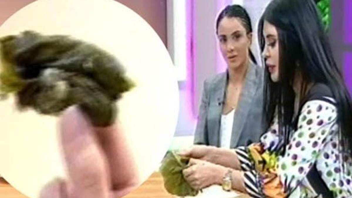 Ebru Polat canlı yayında rezil oldu