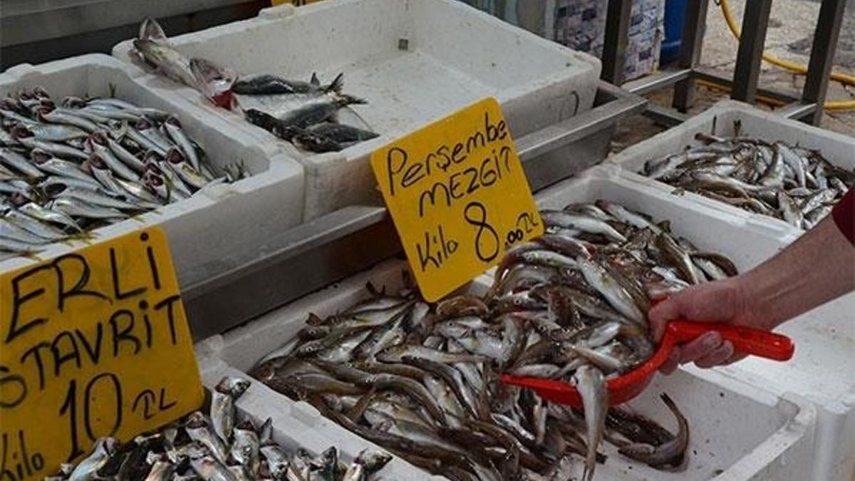 Bu sezon bol çıkan mezgit, 8 TL’den satılıyor