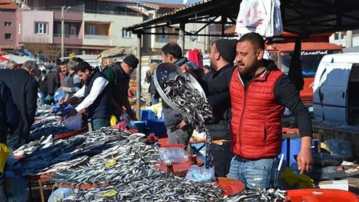 Karadeniz hamsisi adeta yok satıyor!