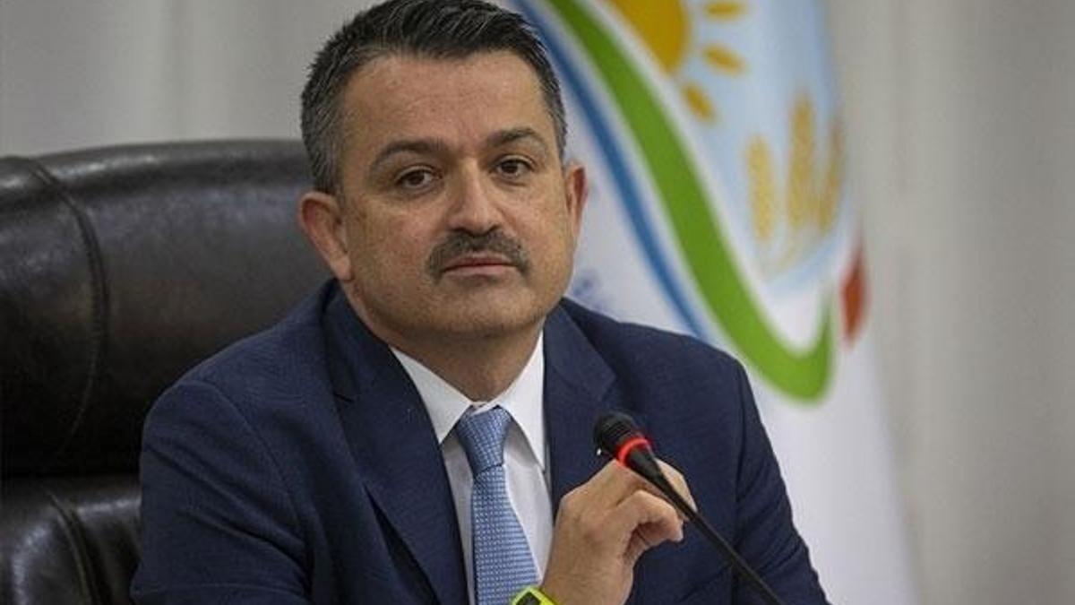 Bakan Pakdemirli: 1 Temmuz'dan bugüne bütün felaketleri kapsayacak şekilde ödeme yapılacak