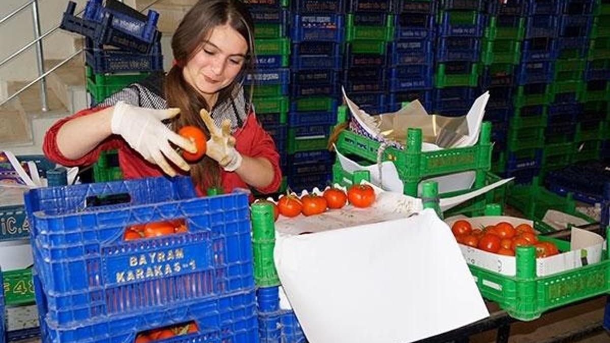 Fiyatlar yüzde 50 düştü!