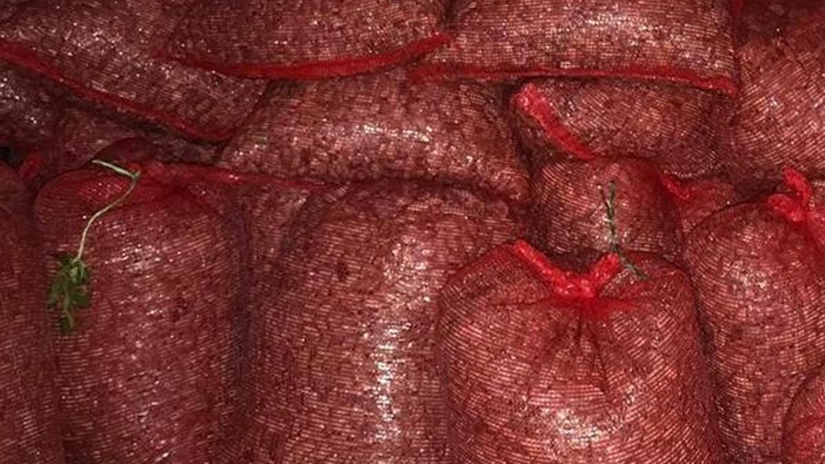 Bursa'da 1 ton 300 kilo midye ele geçirildi