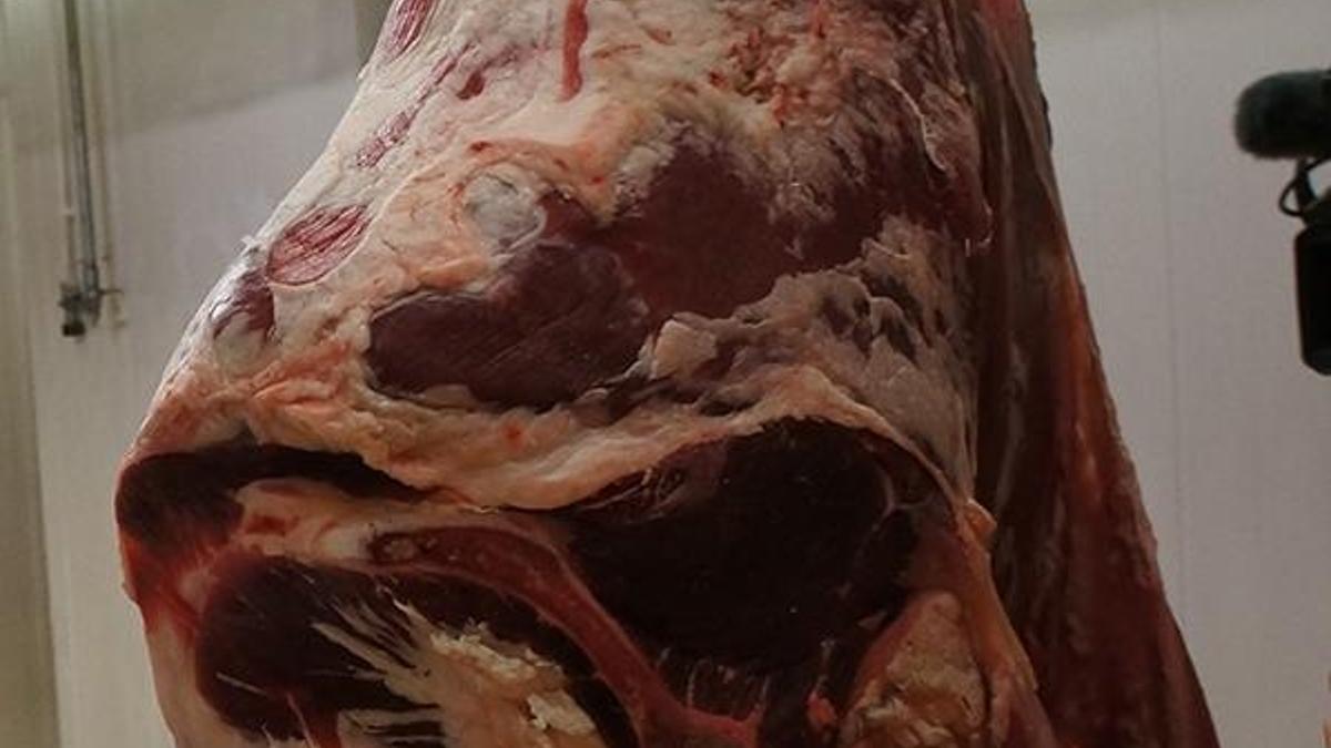 Et üreticileri de tanzim kurmak için harekete geçti!
