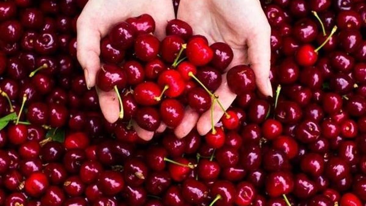 TARSİM'den uyarı: Mart ayı sonuna kadar tamamlanacak!