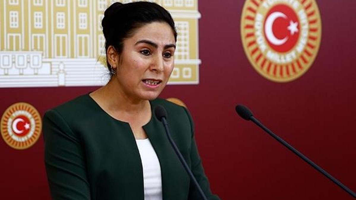 HDP milletvekili Sürücü'ye 3 yıla kadar hapis istemi