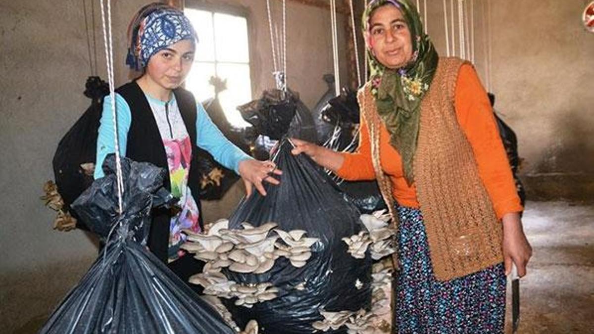 Devlet desteğiyle hayalini gerçekleştirdi