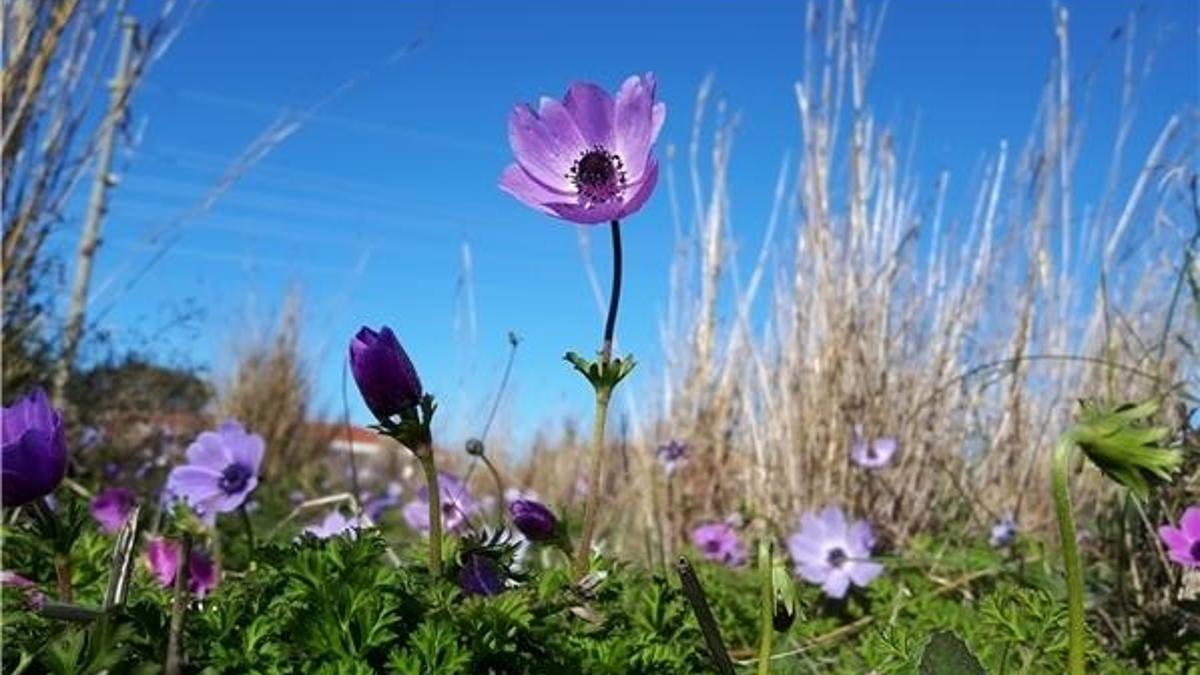 Meteoroloji açıkladı! 18 Mart Pazartesi günü hava nasıl olacak?