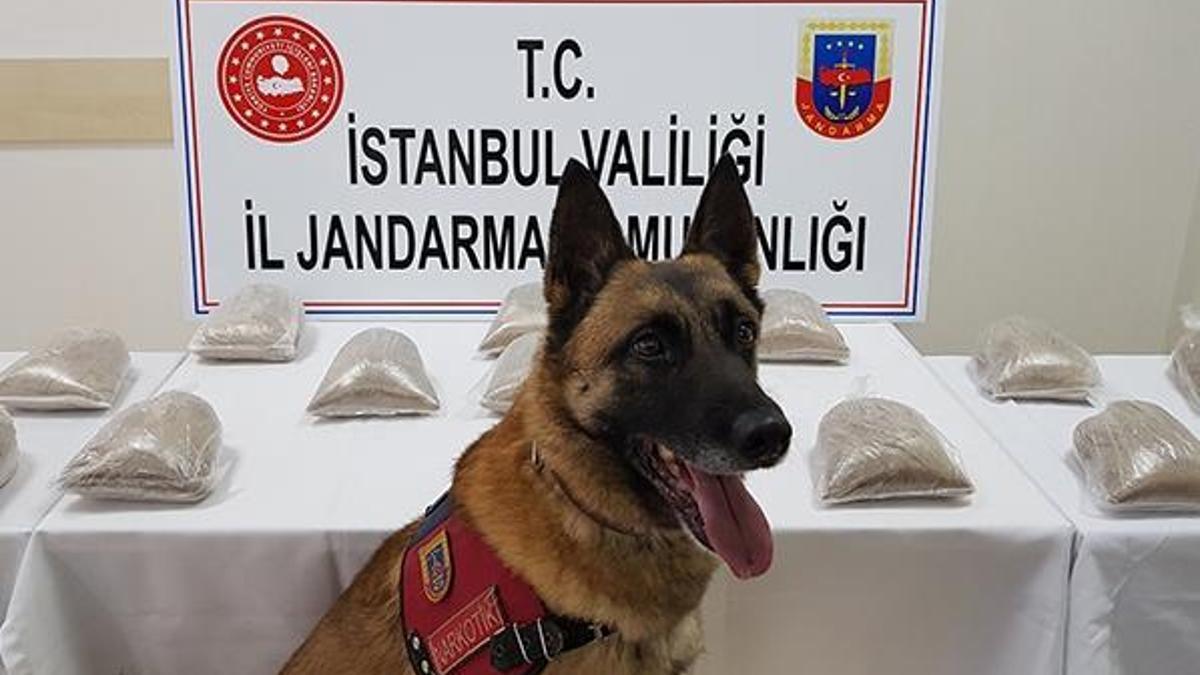 'Atak'tan zehir tacirlerine darbe! 25 kilo ele geçirildi