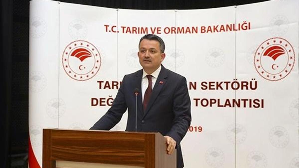 Zincir marketlere tanzim satış ürünleri sevkiyatı başladı