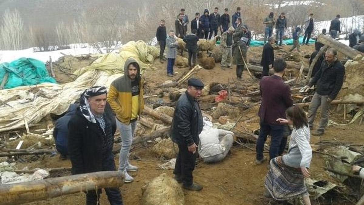 Van'da ahır çöktü! Yüzlerce hayvan telef oldu