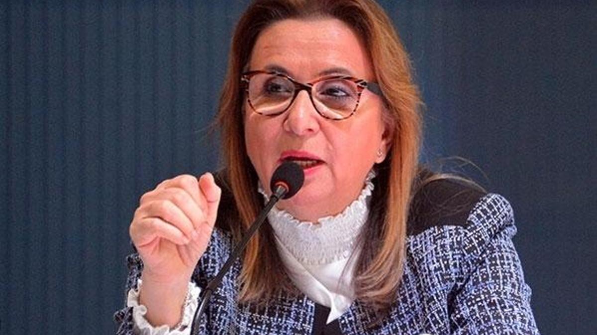 Ticaret Bakanı Pekcan: Tam bir icraat dönemi olacak