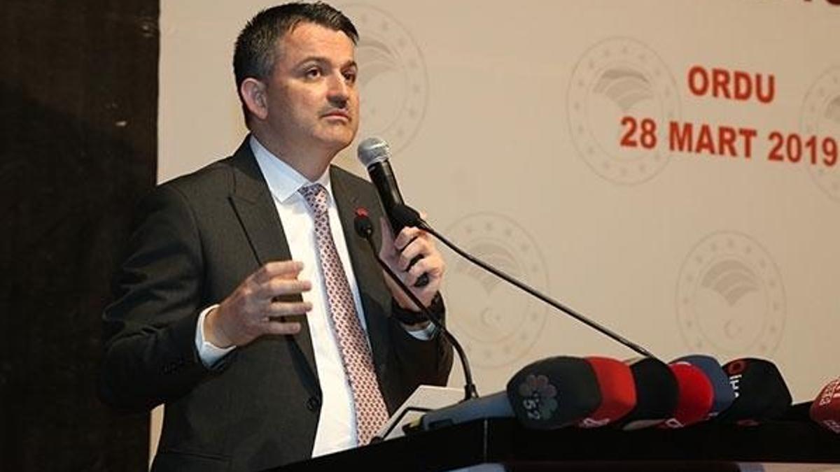 Bakan Pakdemirli’den Ankara’daki köpek katliamı açıklaması