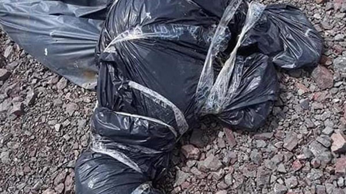 Ankara'da bir hayvan katliamı daha!