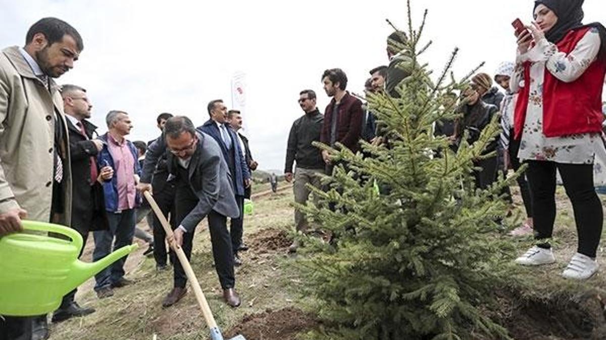 Bakan Kasapoğlu fidan dikti