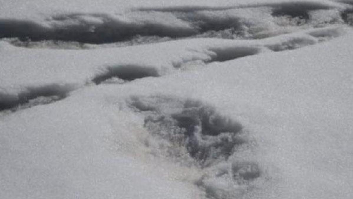 'Yeti canavarının ayak izini bulduk'