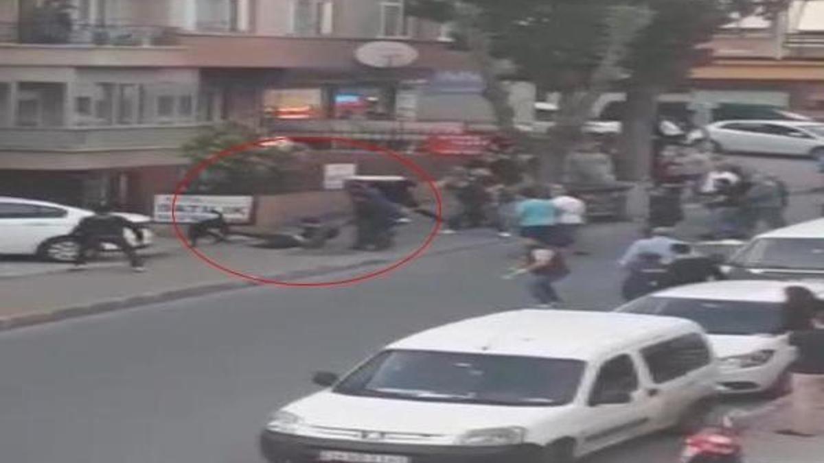 İstanbul'da 'narkozlu' köpek dehşeti!