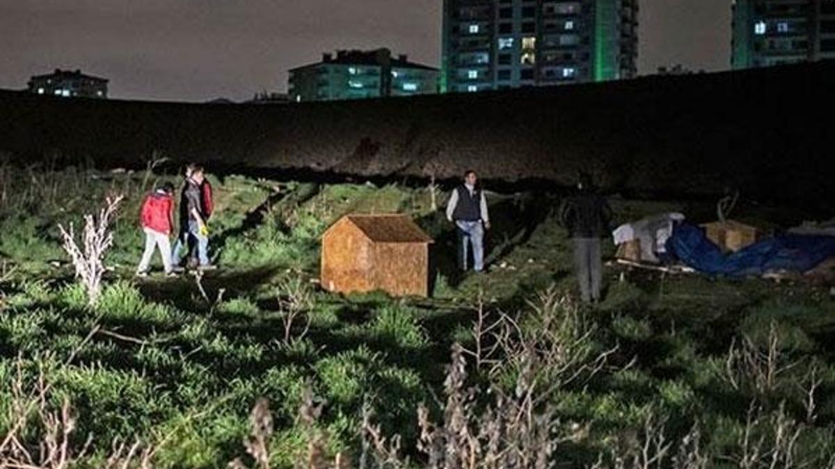 Ankara'da köpeklerin öldürülmesine hapis istemi