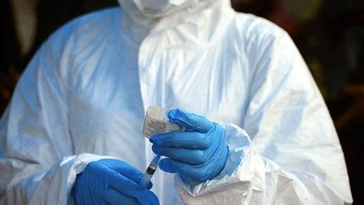 Kongo'da Ebola salgınında ölenlerin sayısı 979'a çıktı