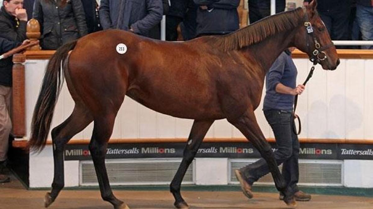 110 milyon euroluk efsane Frankel