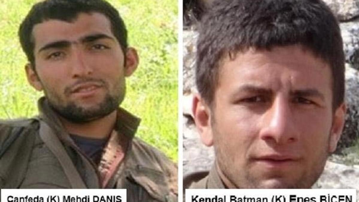 Gabar'da sözde sorumlu terörist etkisiz hale getirildi