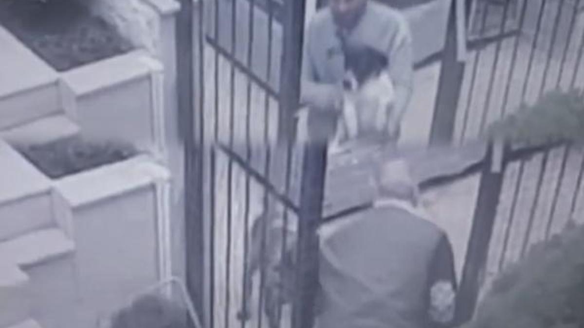 Sarıyer’de salyangoz zehri dehşeti... Ünlü isimler de tepki gösterdi!