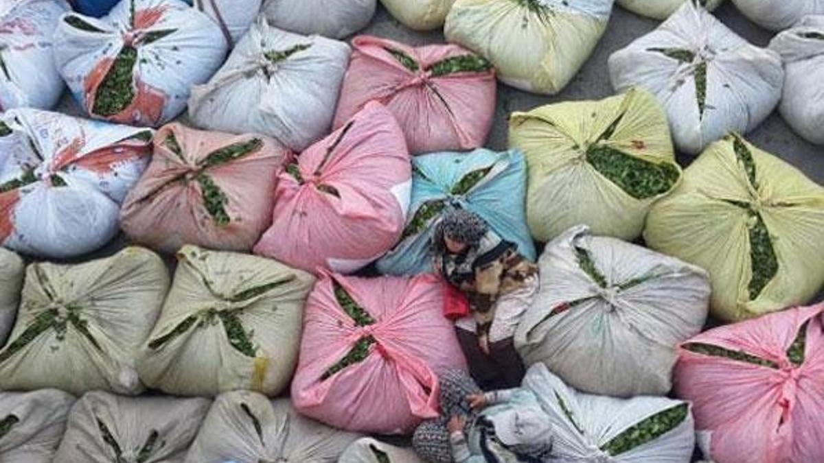 Çay alım fiyatı üreticiyi sevindirdi