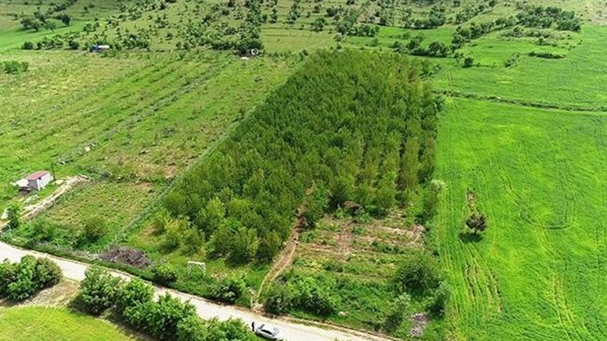 Dolu ve sağanak meyve bahçelerini vurdu! Yüzde 90 zarar var