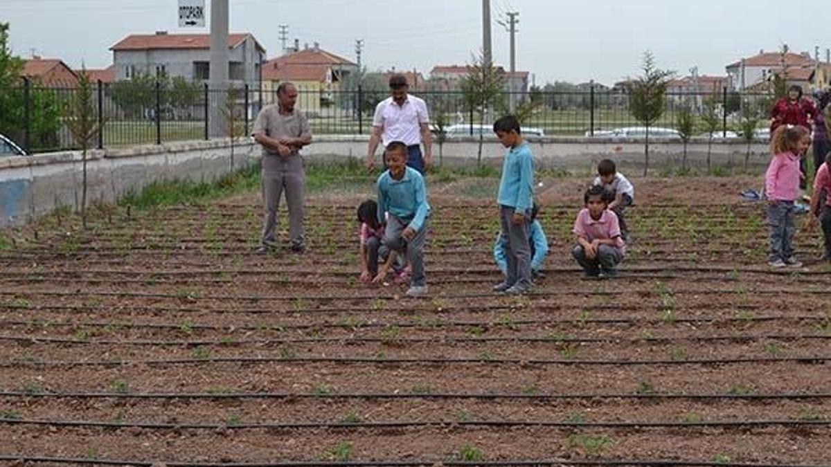 Müdür beyin "hayat okulu" velilerin hayatına dokundu