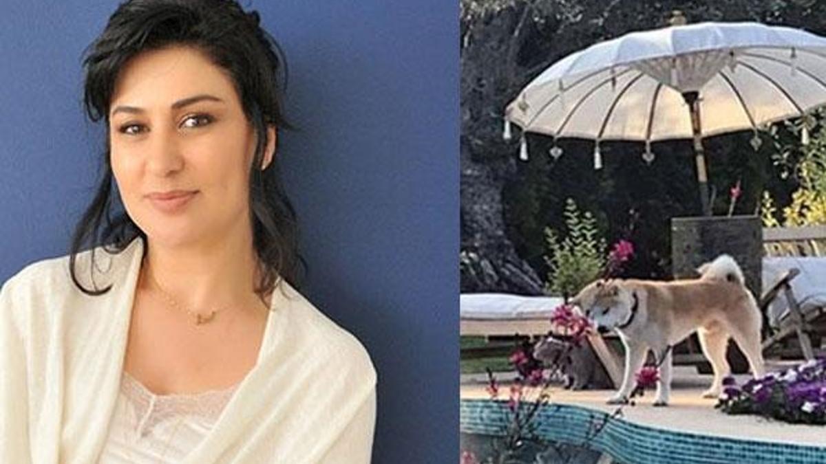Uyurken evine hırsız girdi! 'Köpeği...'