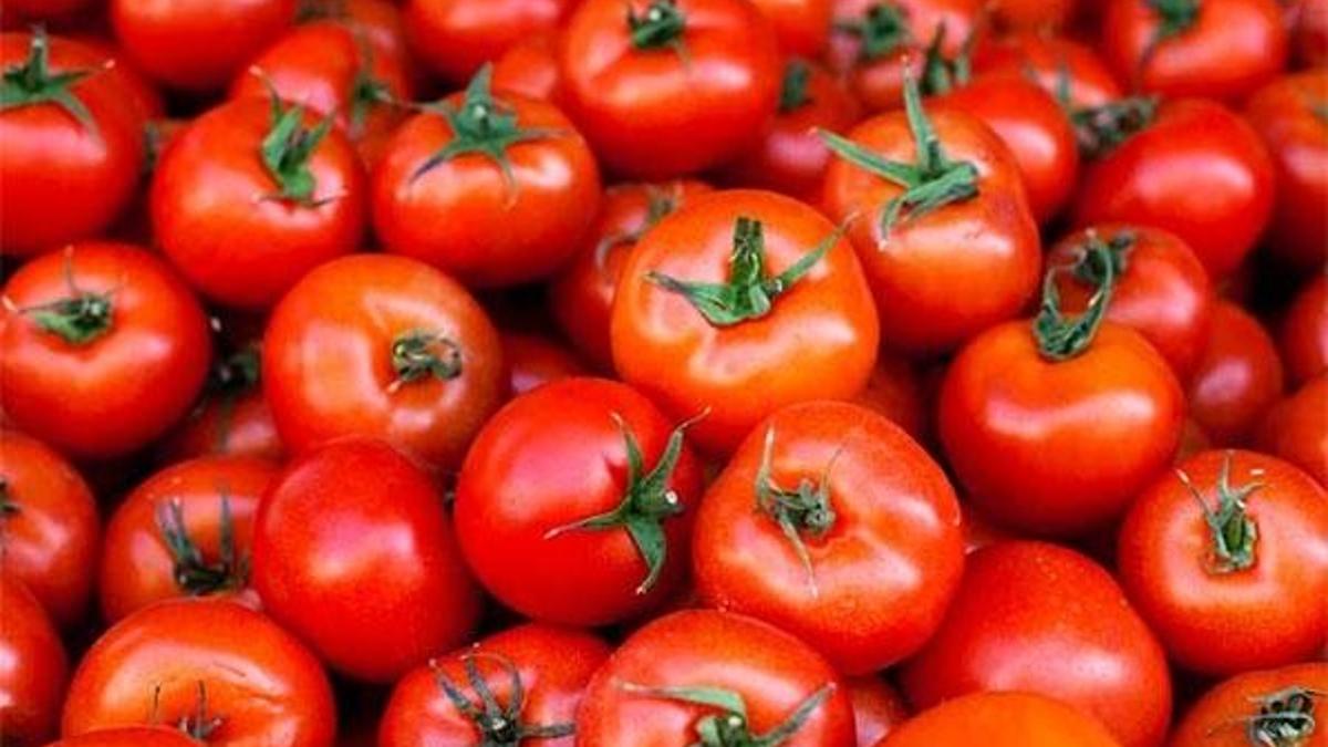 Domatesten 603 milyon dolarlık gelir sağlandı!