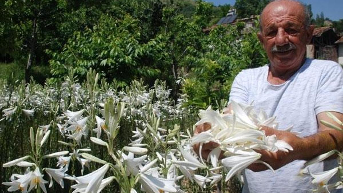Hobi olarak başladı, paraya para demiyor