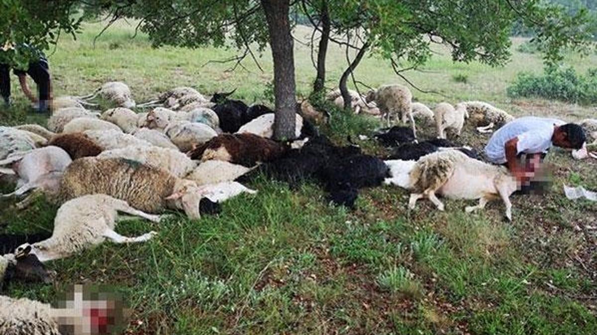 Eskişehir'de feci olay
