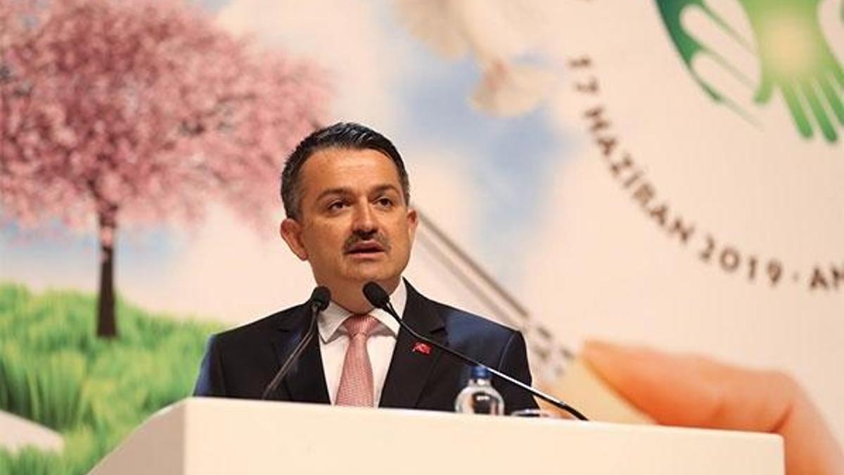 Bakan Pakdemirli: Türkiye Çölleşme Risk Haritası hazırlandı