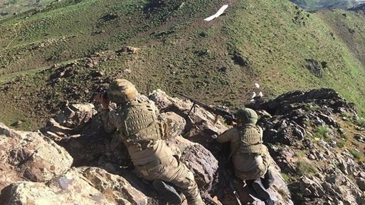 Bitlis'te turuncu listedeki terörist etkisiz hale getirildi
