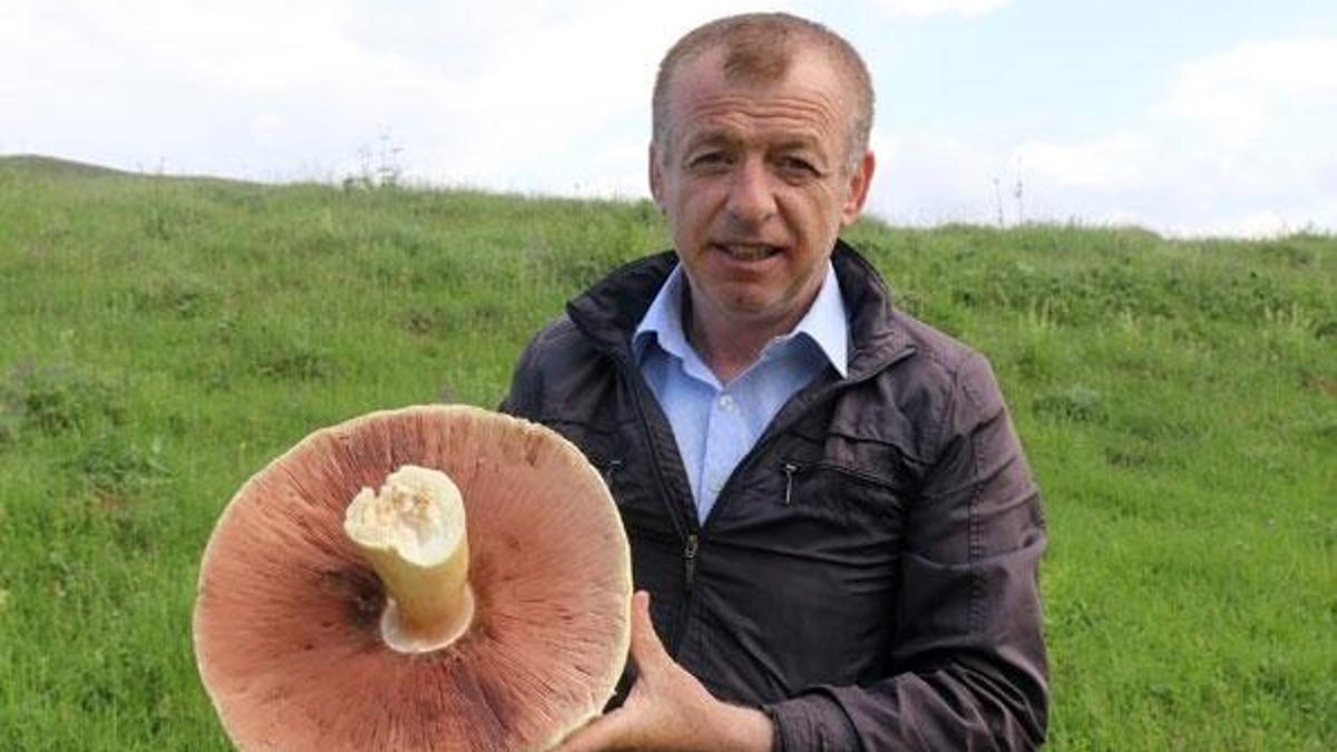 25 yıldır böylesi görülmemişti