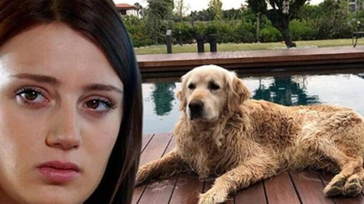 Gizem Karaca: Lütfen yardım edin!