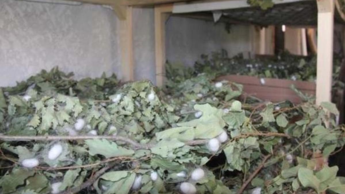 Evinin boş odasında 42 günde 3.500 TL kazandı!