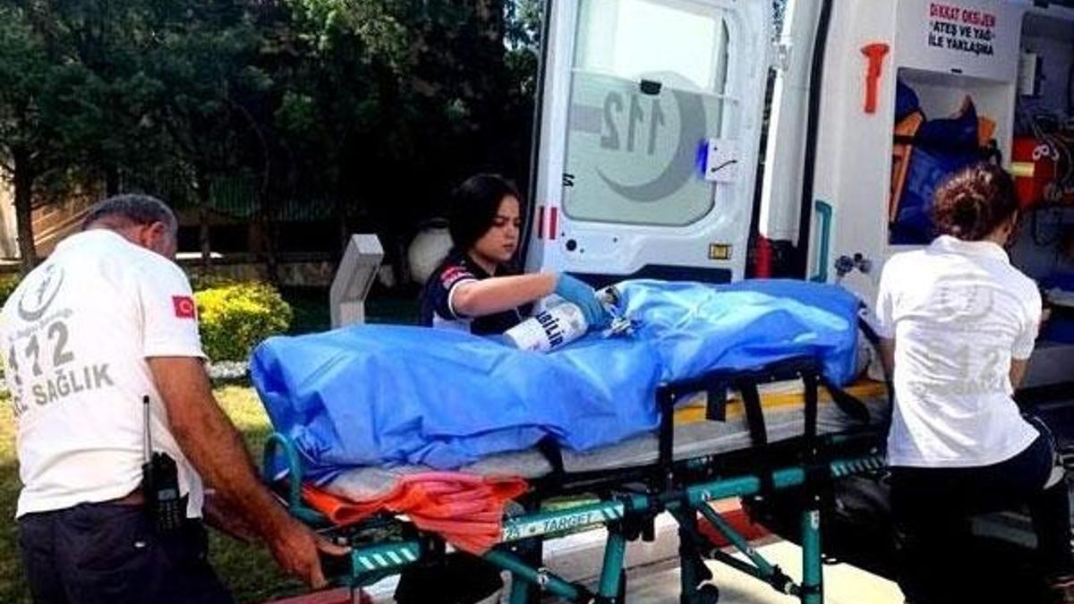 Beslediği arılar hayatına mal oldu!