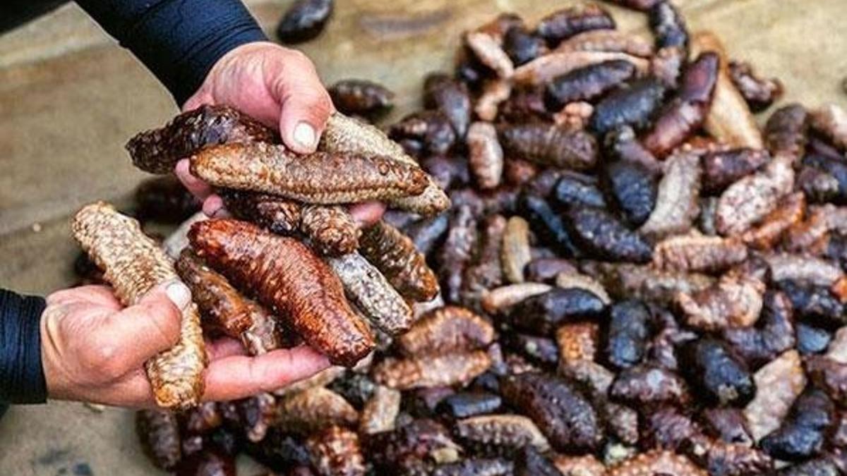 Bir gecede 20 bin TL kazanıyorlar!