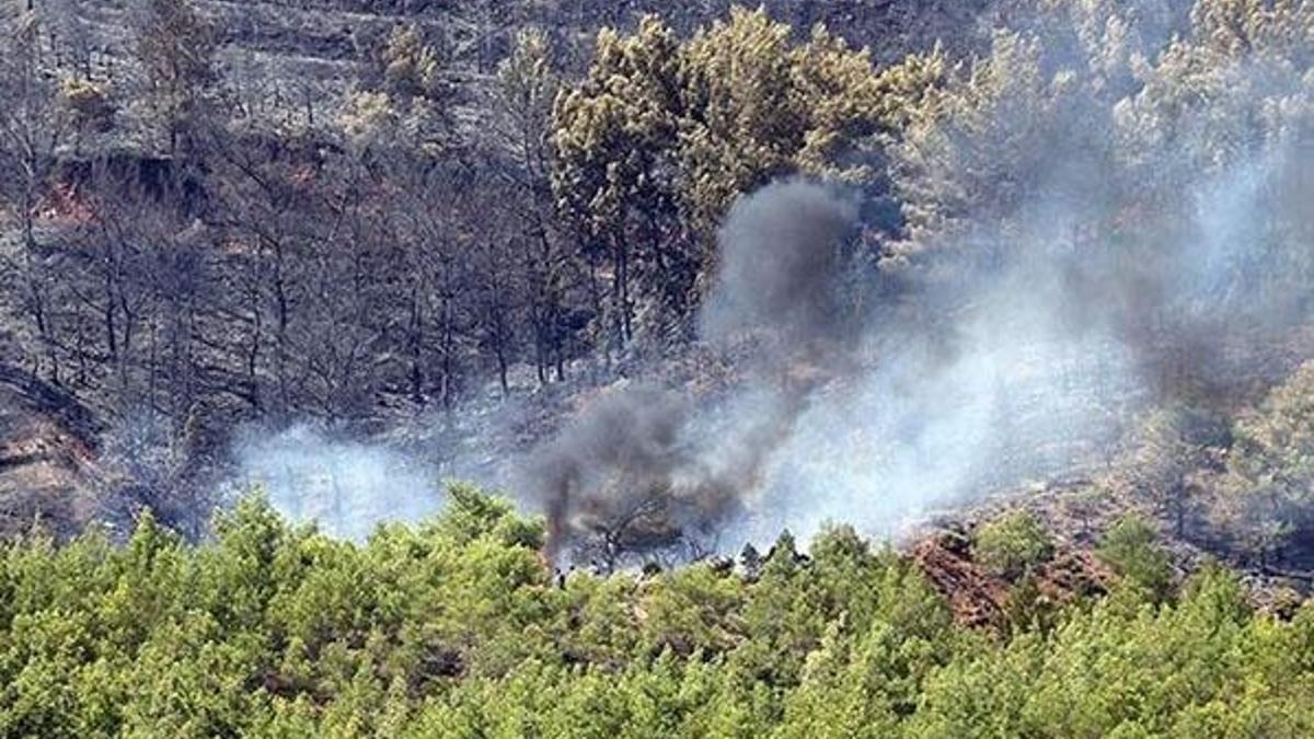 Yanan orman alanları ile ilgili flaş açıklama!