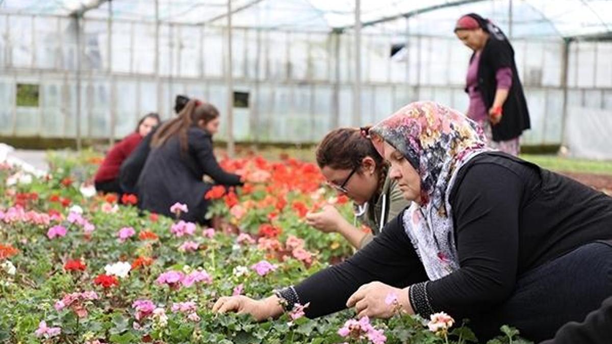 Çiftçiye alım garantili “süs bitkisi” desteği