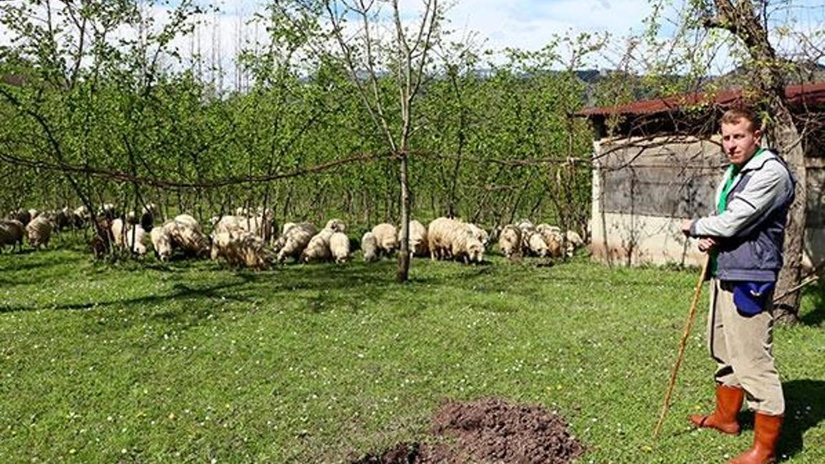 Köye dönüşe "proje" desteği