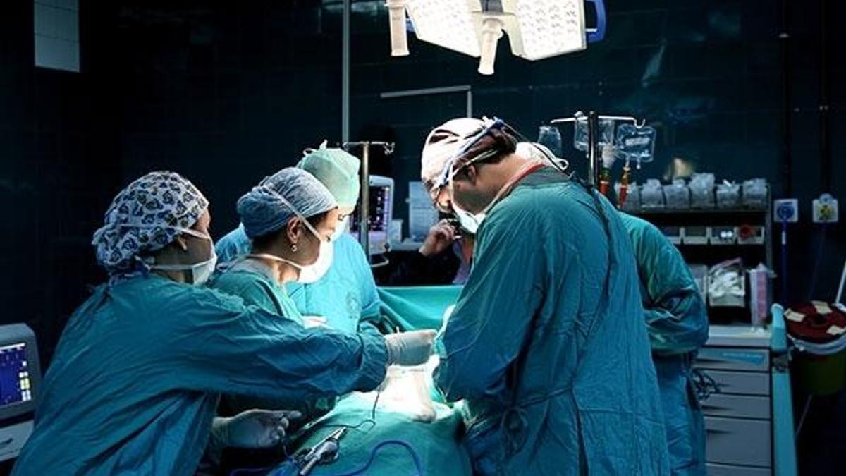 "Türkiye'nin başarısı standartların üzerinde"