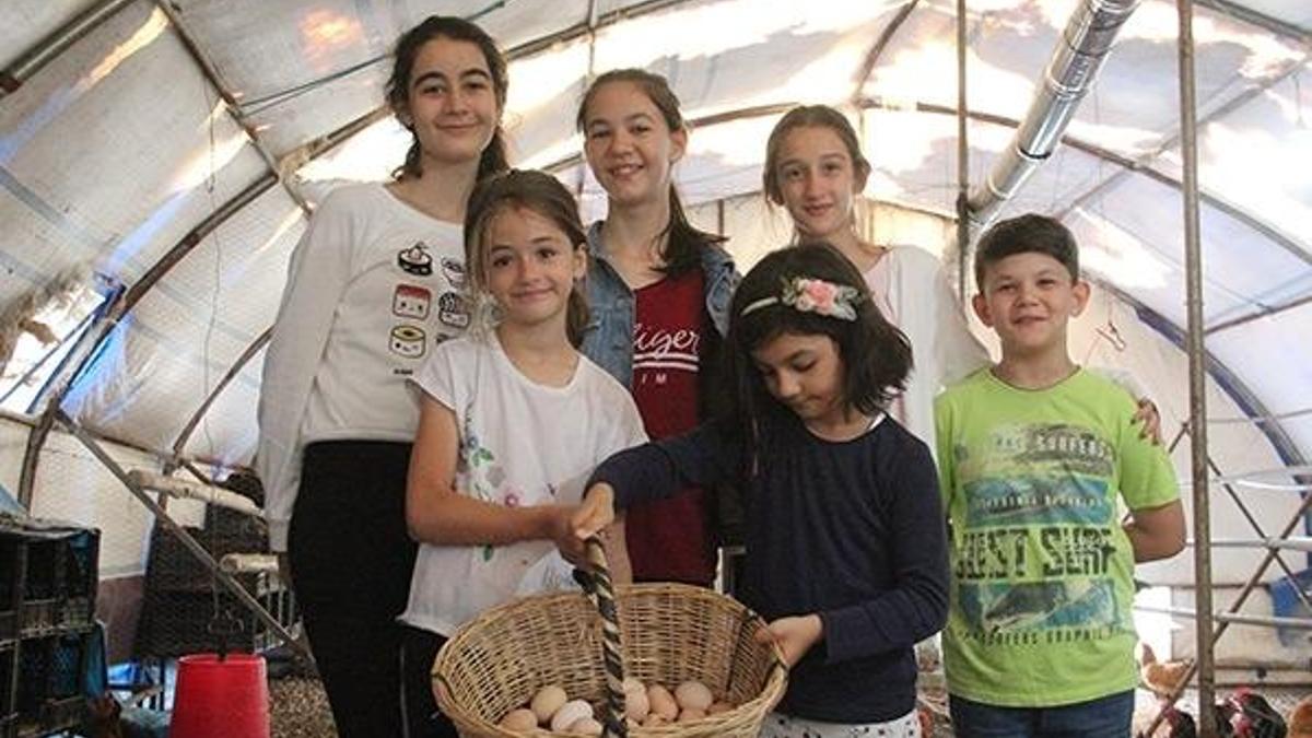 Köylülerden örnek proje!