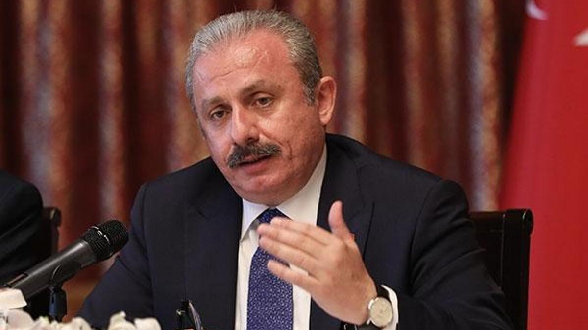 TBMM Başkanı Şentop yasama yılını değerlendirdi