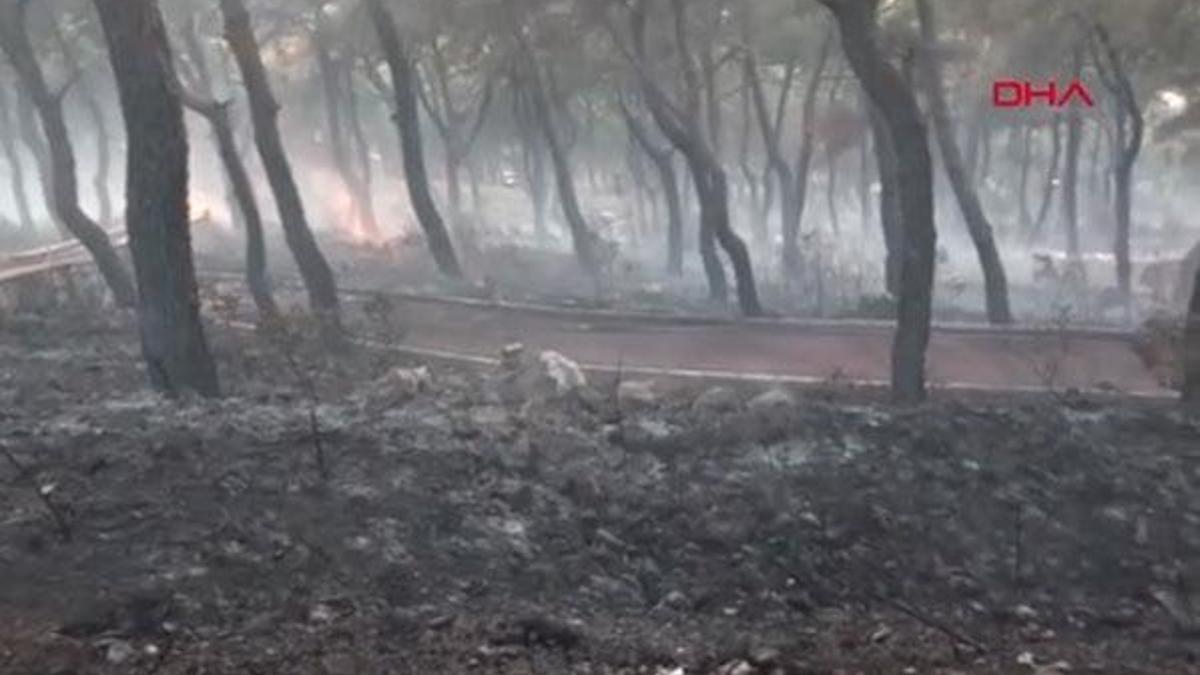 İzmir'de orman yangını!
