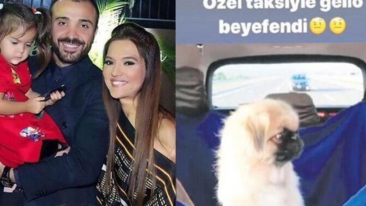 Köpeği için VIP araç kiraladı