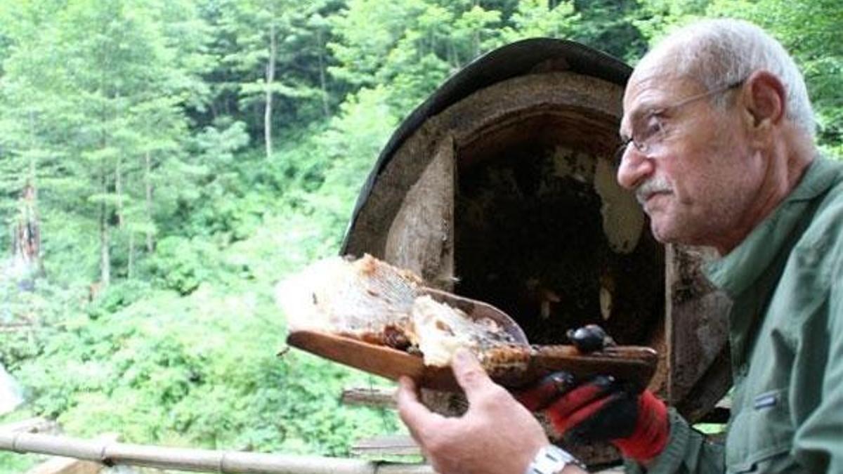 Kilosu 600 lira olan karakovan balı yok satıyor
