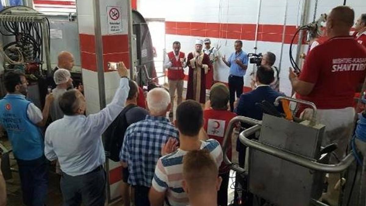 Türk Kızılayı'ndan Kosova'da 6 bin aileye kurban eti